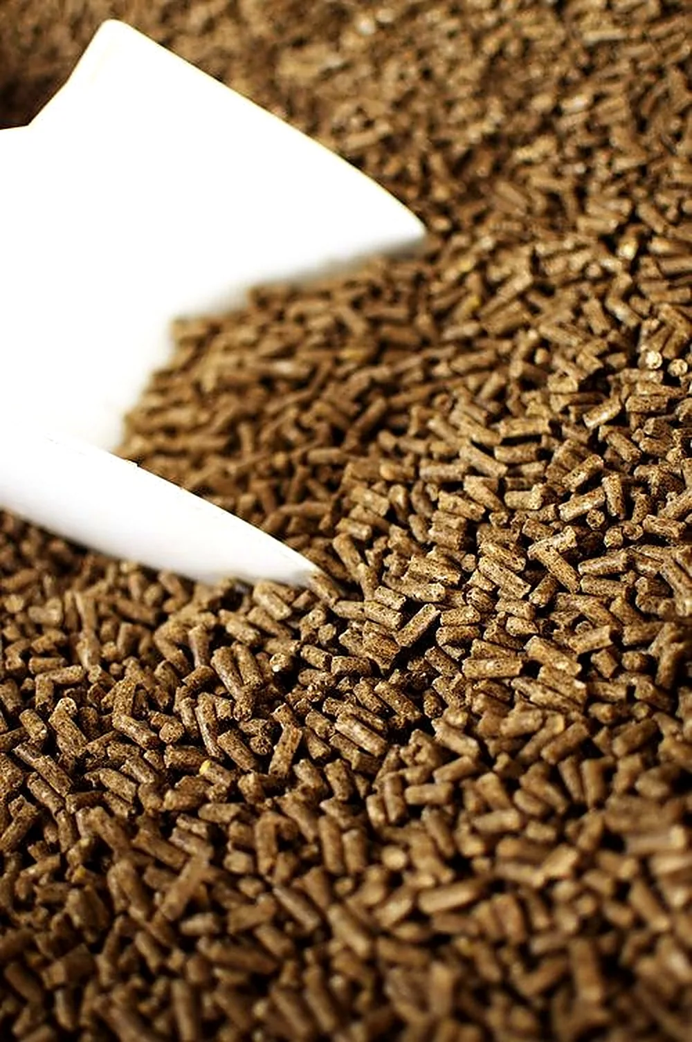 Holzpellets